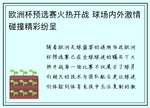 欧洲杯预选赛火热开战 球场内外激情碰撞精彩纷呈