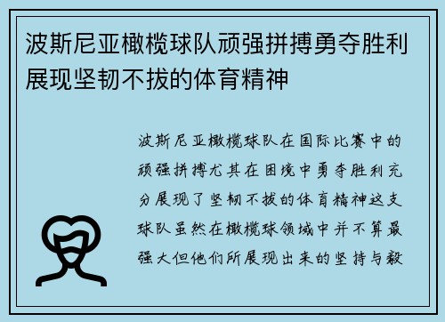 波斯尼亚橄榄球队顽强拼搏勇夺胜利展现坚韧不拔的体育精神